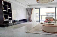 公明小產(chǎn)權(quán)新樓盤(pán)-匯富雅苑原戶(hù)型,天然氣到家,離地鐵近