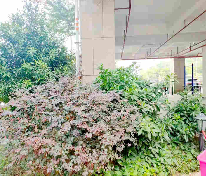 龍華最新小產(chǎn)權房:石巖國際3棟花園小區(qū)房