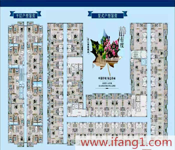 大朗小產權房新樓盤